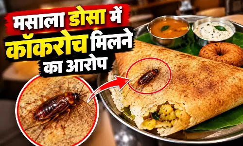विराट-अनुष्का भी पहुंचे थे इस मशहूर होटल में, अब मसाला डोसा में कॉकरोच मिलने के आरोप से बवाल