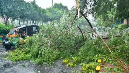 सीएम नायडू ने लिया चक्रवात प्रभावित इलाकों का जायजा सीएम नायडू ने लिया चक्रवात प्रभावित इलाकों का जायजा
