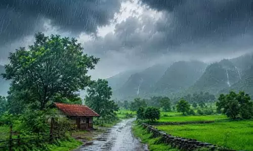 महासमुंद में बारिश ने दिखाया जोर, 1285 मिमी पहुंचा आंकड़ा
