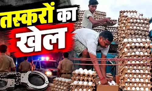 गजब जुगाड़! अंडों की आड़ में ले जा रहे थे अंग्रेजी शराब, चेकपोस्ट पर खुल गया राज