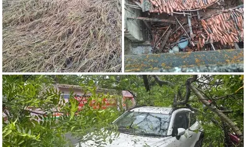 ओडिशा में चक्रवात अरनाब का कहर, भारी बारिश से धान की पकी फसल बर्बाद ओडिशा में चक्रवात अरनाब का कहर, भारी बारिश से धान की पकी फसल बर्बाद