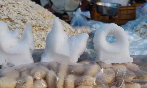 Diwali Special: हाथी-घोड़े वाली मिठाई की परंपरा, जानें दिलचस्प कहानी