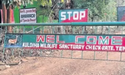 खराब बुनियादी सुविधाओं से कुलडीहा अभयारण्य का पर्यटन सीजन प्रभावित खराब बुनियादी सुविधाओं से कुलडीहा अभयारण्य का पर्यटन सीजन प्रभावित