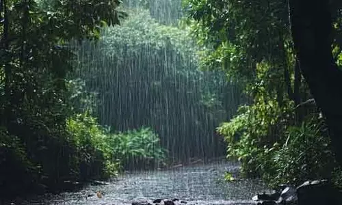 हिमाचल के इन छह जिलों में बारिश का अलर्ट हिमाचल के इन छह जिलों में बारिश का अलर्ट