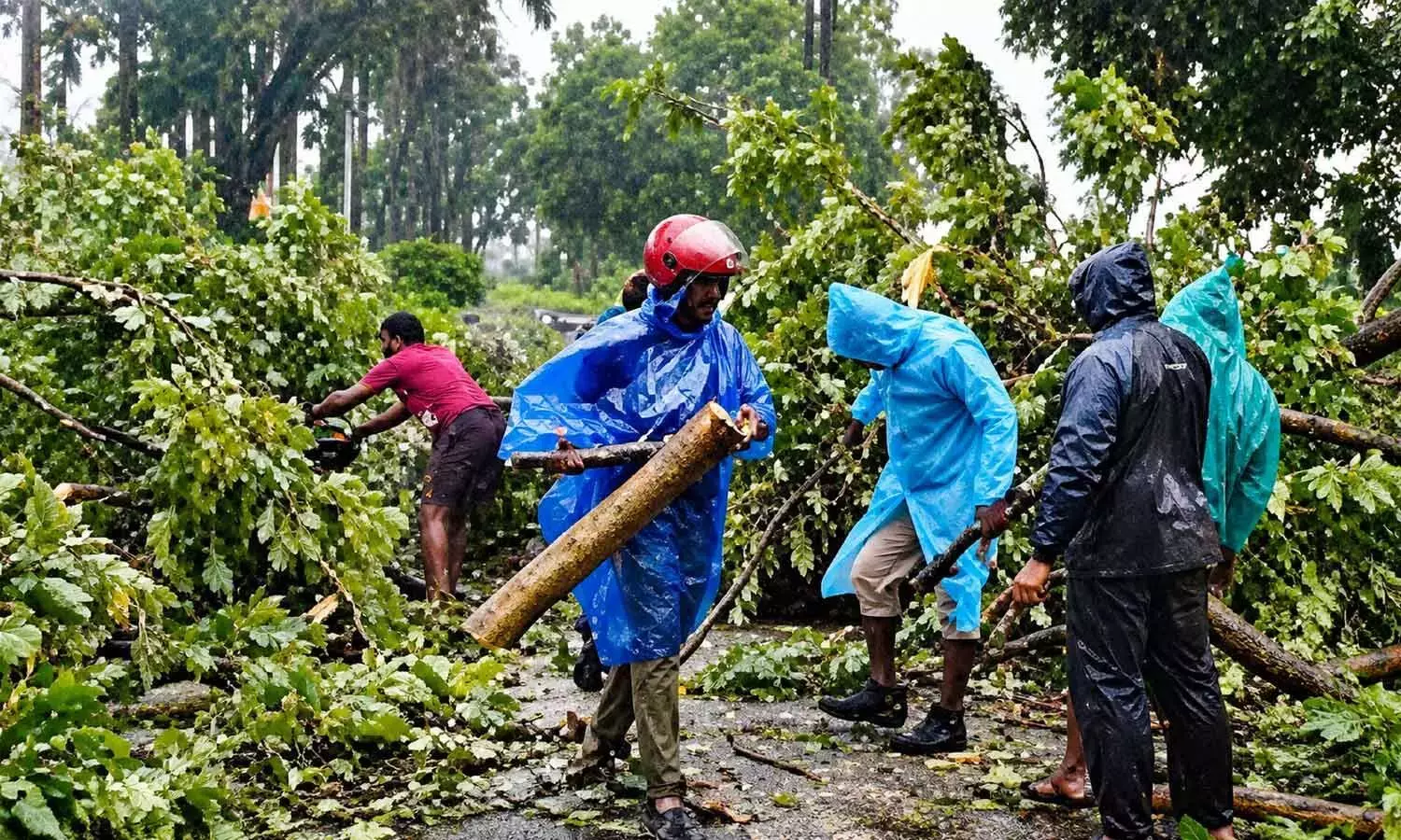 Andhra: पेड़ उखड़ गये, बिजली के खंभे हटा दिये गये Andhra: पेड़ उखड़ गये, बिजली के खंभे हटा दिये गये