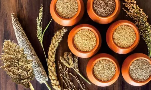 मिलेट्स मिशन के बेहतर संचालन और खरीफ खरीद के लिए रणनीति तय