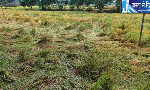 अर्णब चक्रवात से किसानों को नुकसान, मुआवजे का ऐलान अर्णब चक्रवात से किसानों को नुकसान, मुआवजे का ऐलान