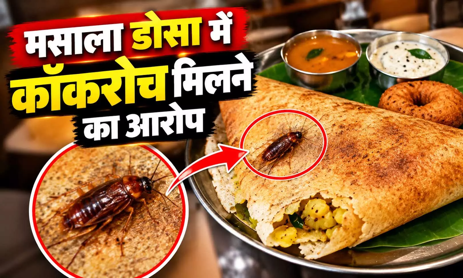 विराट-अनुष्का भी पहुंचे थे इस मशहूर होटल में, अब मसाला डोसा में कॉकरोच मिलने के आरोप से बवाल विराट-अनुष्का भी पहुंचे थे इस मशहूर होटल में, अब मसाला डोसा में कॉकरोच मिलने के आरोप से बवाल
