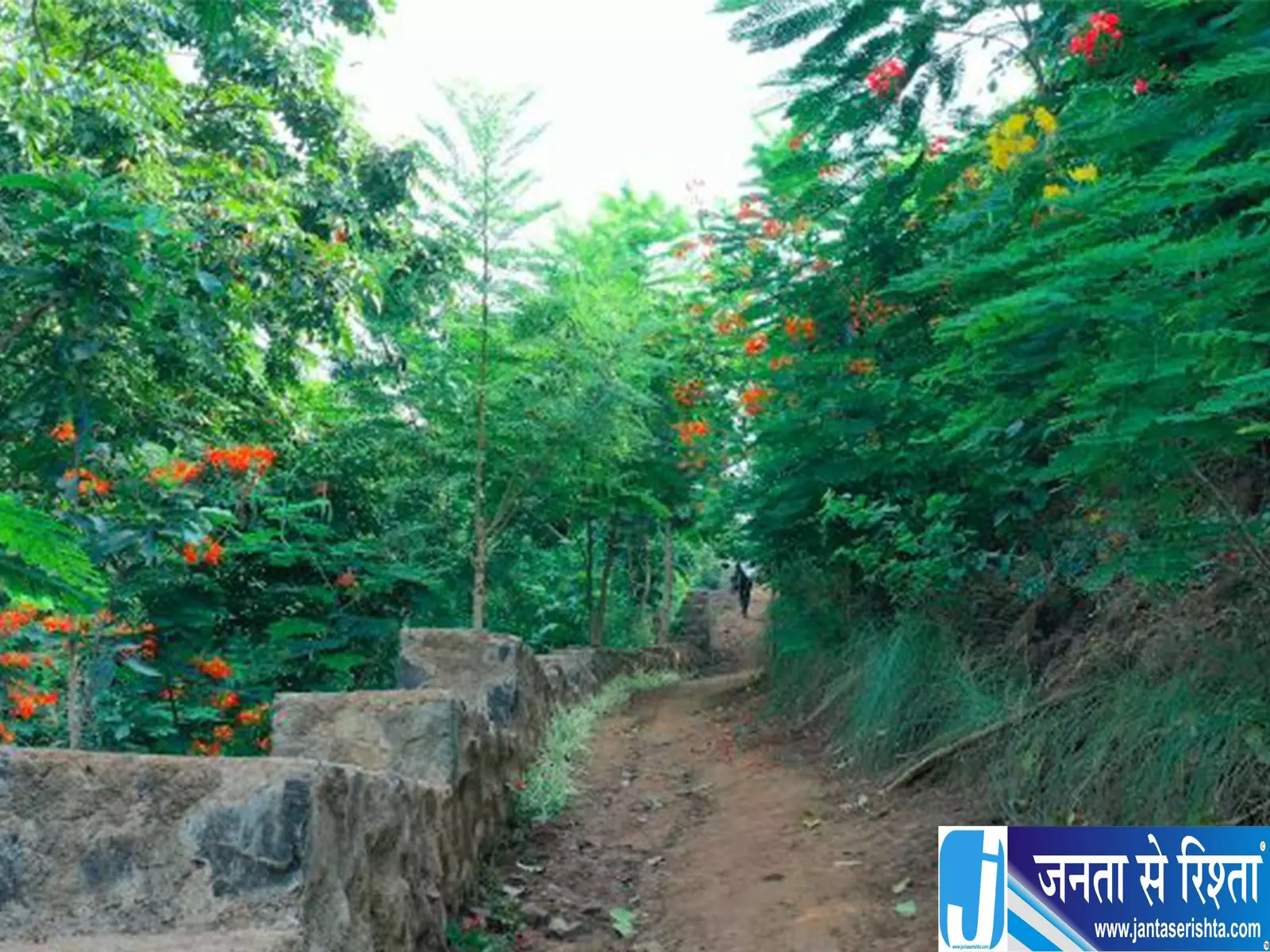 एकता नगर में बनेगा नया पर्यटन आकर्षण, पीएम मोदी करेंगे ट्रेल ऑफ यूनाइटेड इंडिया का शुभारंभ एकता नगर में बनेगा नया पर्यटन आकर्षण, पीएम मोदी करेंगे ट्रेल ऑफ यूनाइटेड इंडिया का शुभारंभ