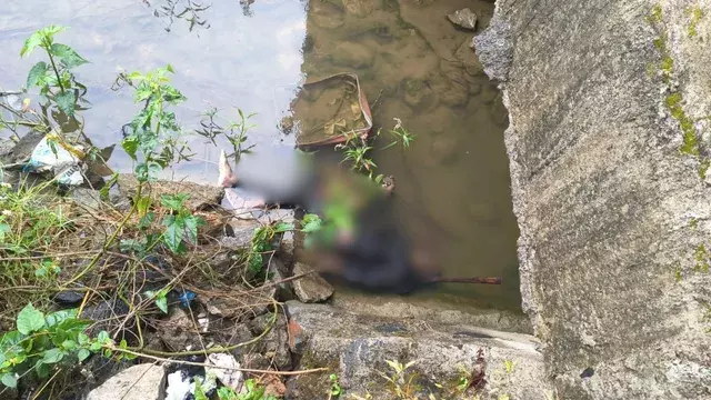पुल के नीचे मिला युवक का शव, मौत की गुत्थी सुलझाने में जुटी पुलिस पुल के नीचे मिला युवक का शव, मौत की गुत्थी सुलझाने में जुटी पुलिस