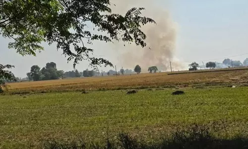 पंजाब में पराली जलाने के मामलों में रिकॉर्ड बढ़ोतरी