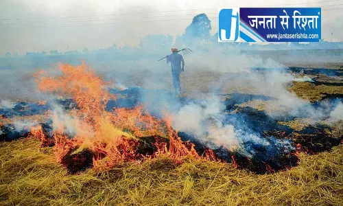 हरियाणा में पराली जलाने के 29 मामले सामने आए