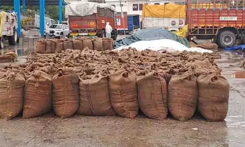 बेमौसम बारिश ने बढ़ाई किसानों की मुश्किलें, मंडियों में भीगी धान की फसल बेमौसम बारिश ने बढ़ाई किसानों की मुश्किलें, मंडियों में भीगी धान की फसल