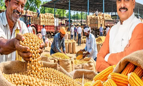 सोयाबीन मक्का किसानों को बड़ी राहत, अब छुट्टी के दिन भी होगी खरीदी सोयाबीन मक्का किसानों को बड़ी राहत, अब छुट्टी के दिन भी होगी खरीदी