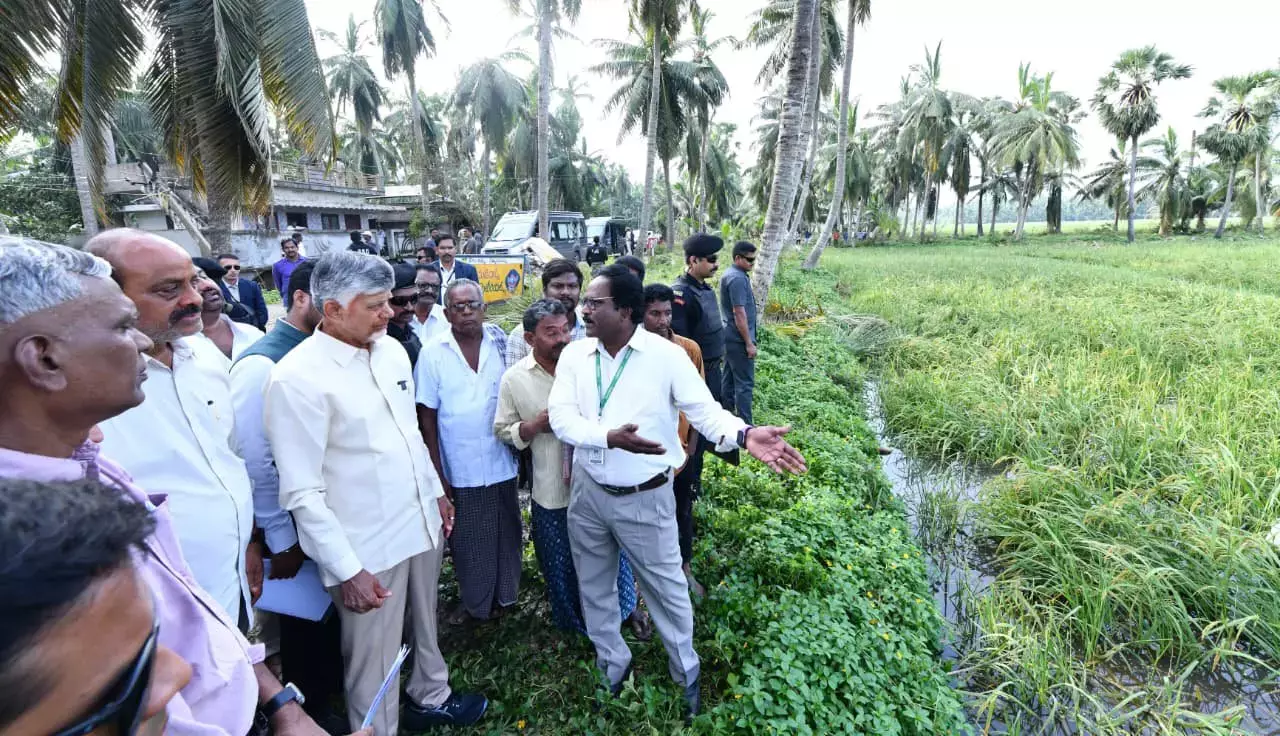 Andhra: चंद्रबाबू नायडू दूसरे दिन चक्रवात प्रभावित क्षेत्रों का दौरा करेंगे Andhra: चंद्रबाबू नायडू दूसरे दिन चक्रवात प्रभावित क्षेत्रों का दौरा करेंगे