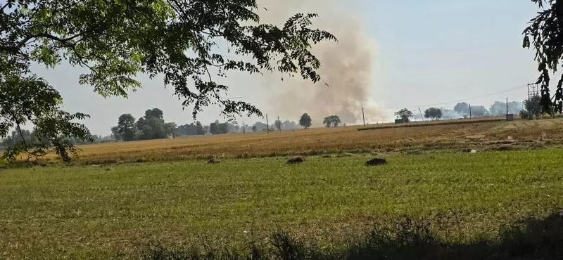 पंजाब में पराली जलाने के मामलों में रिकॉर्ड बढ़ोतरी पंजाब में पराली जलाने के मामलों में रिकॉर्ड बढ़ोतरी