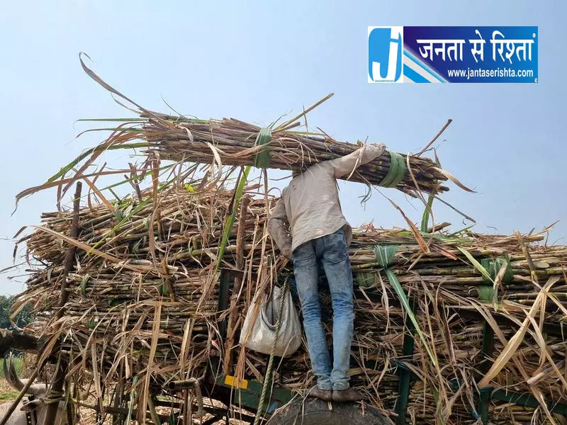 हरियाणा में गन्ने की कीमतों में 35 रुपये की बढ़ोतरी हरियाणा में गन्ने की कीमतों में 35 रुपये की बढ़ोतरी