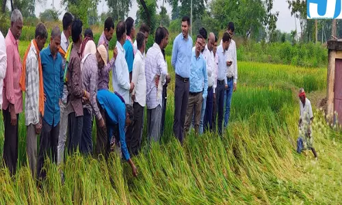 अर्नब तूफान से फसलें तबाह, बेमेतरा में सर्वे शुरू, किसानों को मिलेगी राहत राशि, जानें कैसे अर्नब तूफान से फसलें तबाह, बेमेतरा में सर्वे शुरू, किसानों को मिलेगी राहत राशि, जानें कैसे