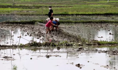 पुलवामा में खेत बचाओ अभियान का समापन पुलवामा में खेत बचाओ अभियान का समापन