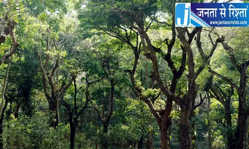 दिल्ली के दक्षिणी रिज का 400 हेक्टेयर क्षेत्र आरक्षित वन घोषित