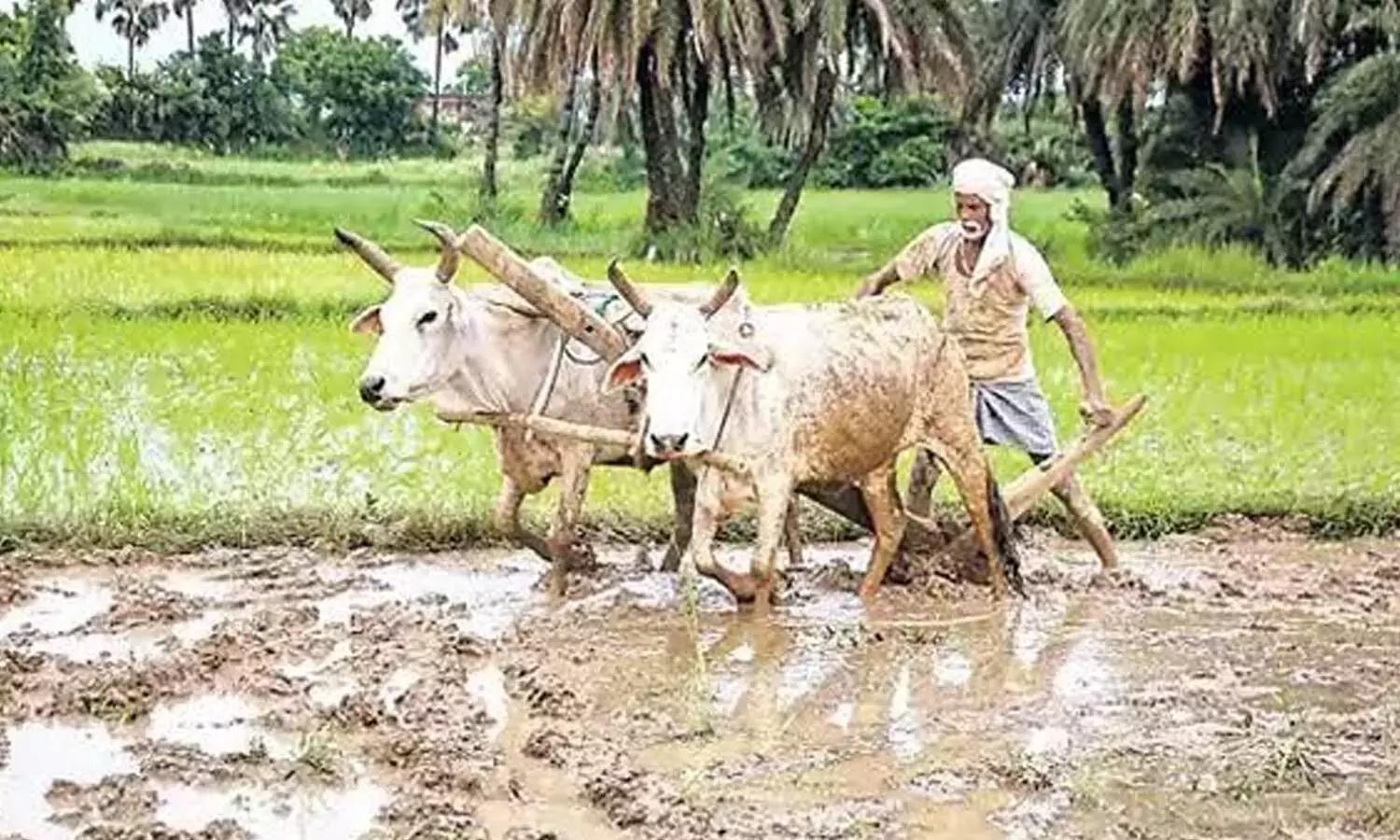 Andhra: किसानों के खातों में 2,234 करोड़ रुपये जमा किए गए Andhra: किसानों के खातों में 2,234 करोड़ रुपये जमा किए गए