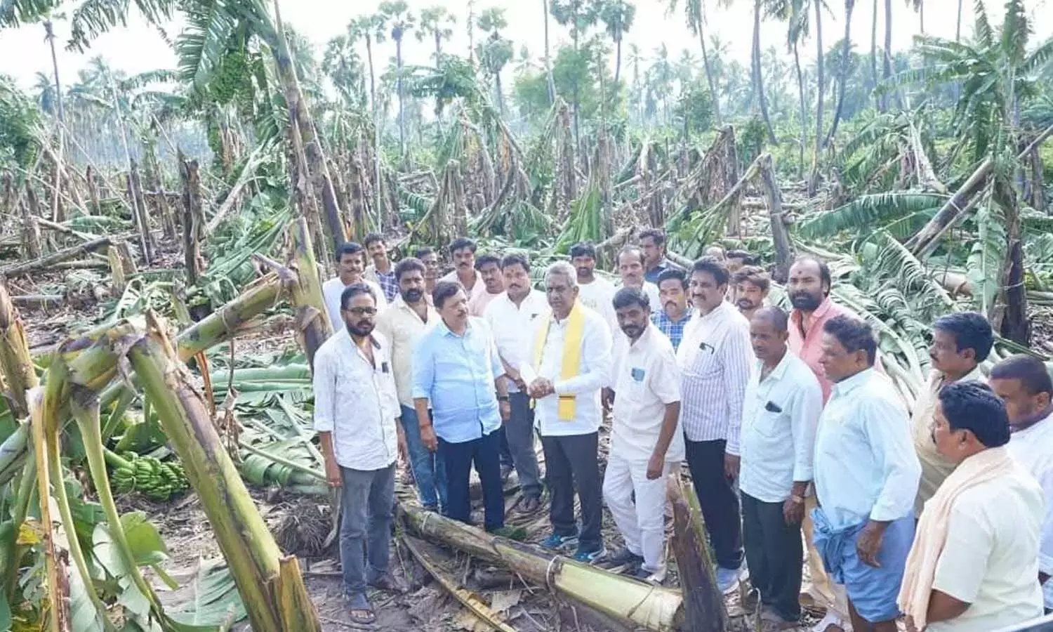 Andhra: मंत्री ने चक्रवात प्रभावित किसानों को मदद का वादा किया