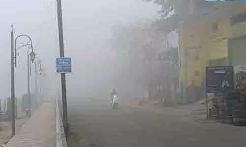 कहीं कोहरा तो कहीं ठिठुरन, राजस्थान में ठंड ने दी दस्तक कहीं कोहरा तो कहीं ठिठुरन, राजस्थान में ठंड ने दी दस्तक