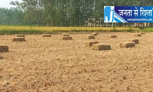 पराली से कमाई कर रहे यमुनानगर के किसान पराली से कमाई कर रहे यमुनानगर के किसान