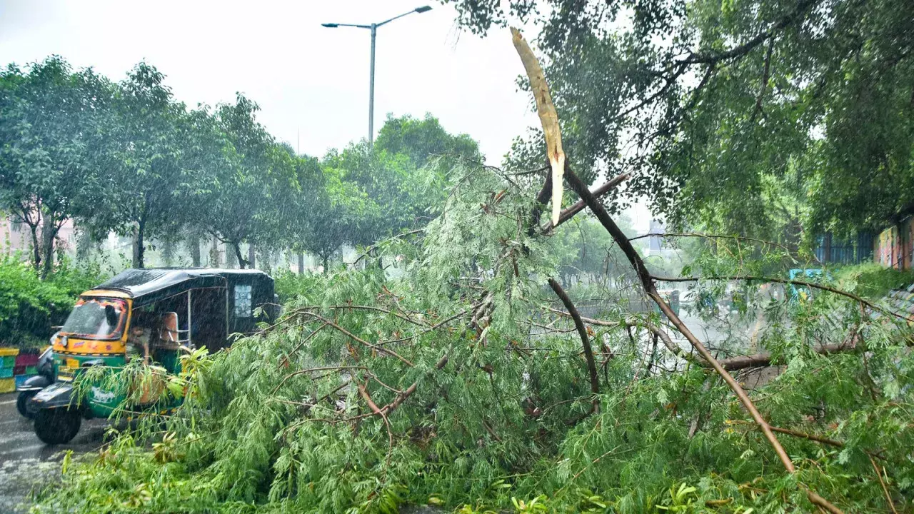 केंद्रीय टीम का आंध्र दौरा कल, चक्रवात प्रभावित क्षेत्रों का लेगी जायजा केंद्रीय टीम का आंध्र दौरा कल, चक्रवात प्रभावित क्षेत्रों का लेगी जायजा