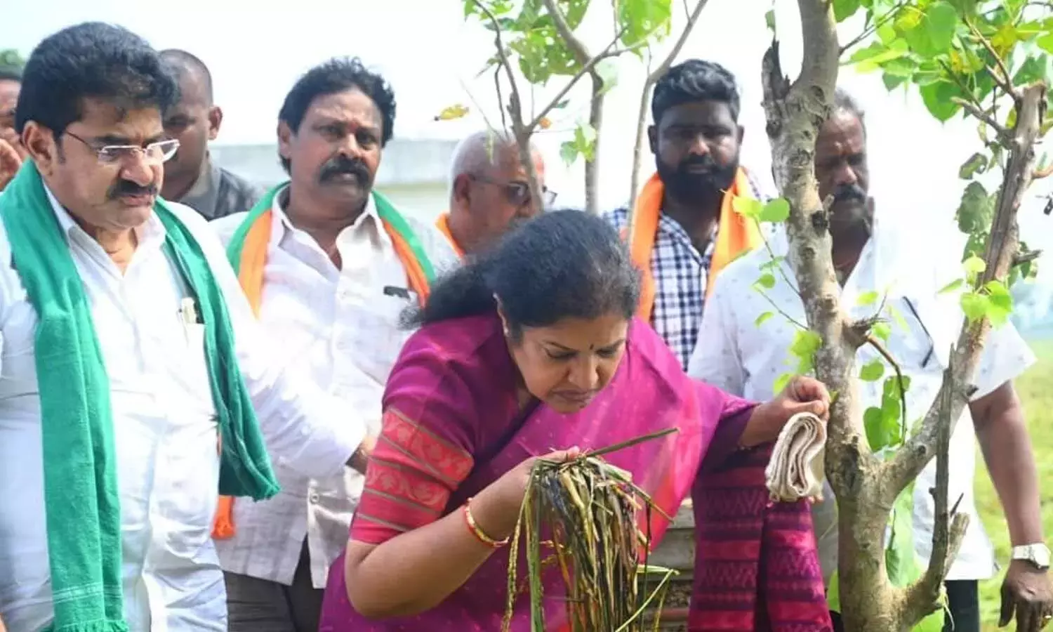 Andhra: पुरंदेश्वरी ने चक्रवात प्रभावित फसलों का निरीक्षण किया Andhra: पुरंदेश्वरी ने चक्रवात प्रभावित फसलों का निरीक्षण किया